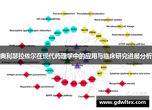 奥利瑟拉佐尔在现代药理学中的应用与临床研究进展分析